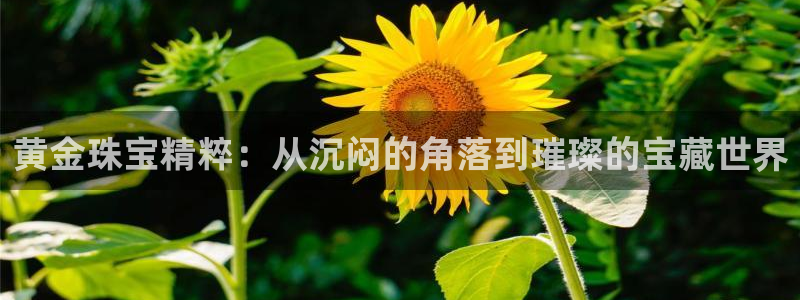 新宝5娱乐主管：黄金珠宝精粹：从沉闷的角落到璀璨的宝藏世界