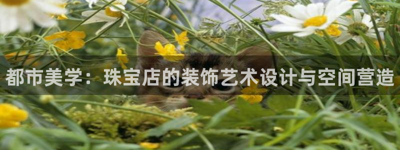新宝5总代：都市美学：珠宝店的装饰艺术设计与空间营造
