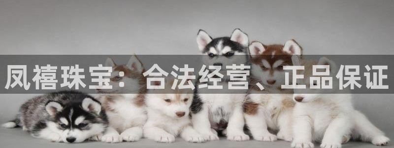 新宝5测登录：凤禧珠宝：合法经营、正品保证