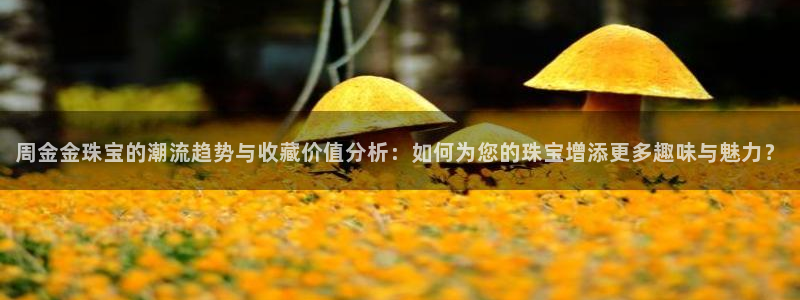 菲律宾新宝5老板：周金金珠宝的潮流趋势与收藏价值分析：如何为您的珠宝增添更多趣味
