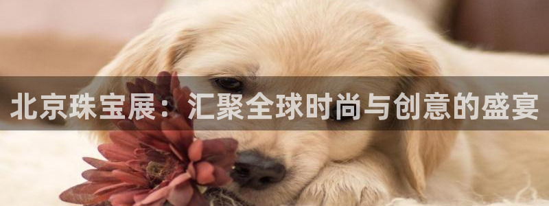 新宝速5：北京珠宝展：汇聚全球时尚与创意的盛宴