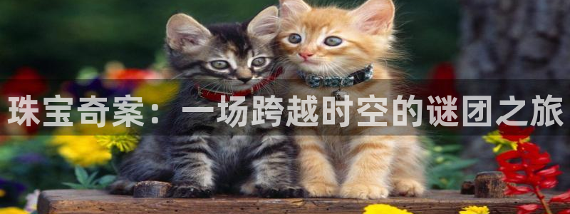 新宝5吕74OOO5：珠宝奇案：一场跨越时空的谜团之旅