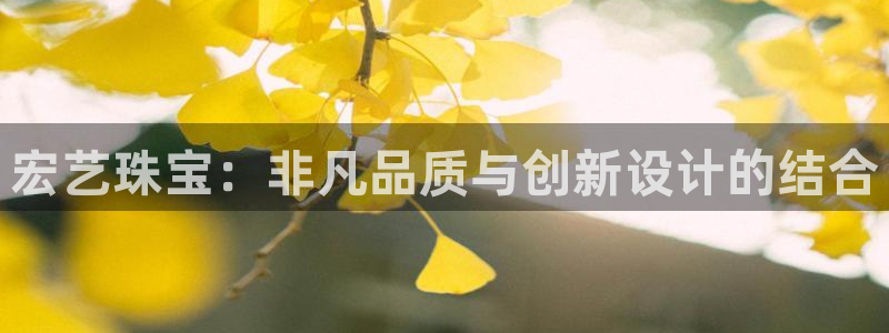 新宝股东瞧听2 5 5：宏艺珠宝：非凡品质与创新设计的结合