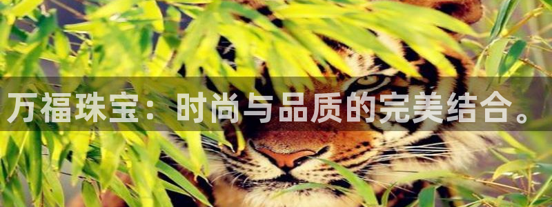 新宝5官网app：万福珠宝：时尚与品质的完美结合。