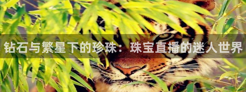 新宝5官网霸：钻石与繁星下的珍珠：珠宝直播的迷人世界